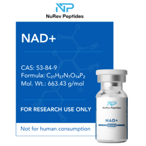 NAD+ 500 vial