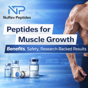 Peptides for Muscle Growth illustration